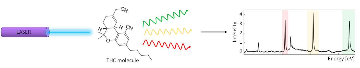 np-spectrometer.png