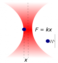 The atoms feel a restoring force towards the focus of the laser, just as though they were on a spring.