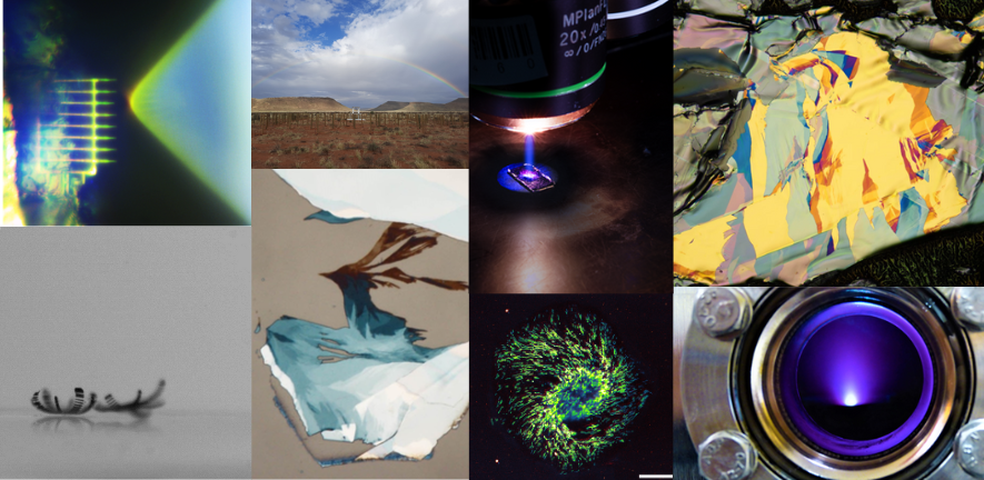 Selection of competition winners' photographs
